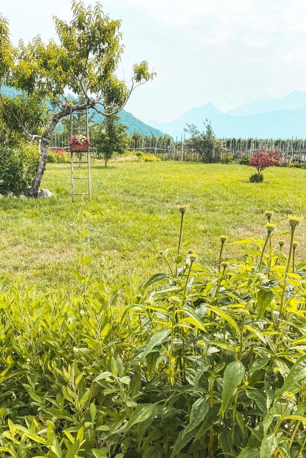 Agriturismo Dal Perotin Caldonazzo Exterior foto